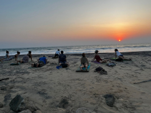 Yoga Teacher Training on Varkala's Idyllic Coastline