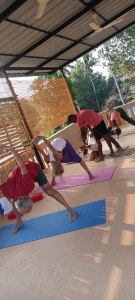 Revitalize Your Being: 100-Hour Yoga Teacher Training in Varkala